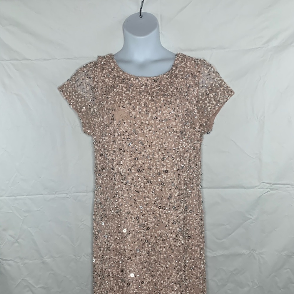 Plus Size Adrianna Papell Blush Sequins Gown